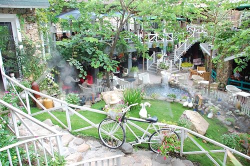 Hệ thống phun sương tưới cây sân vườn