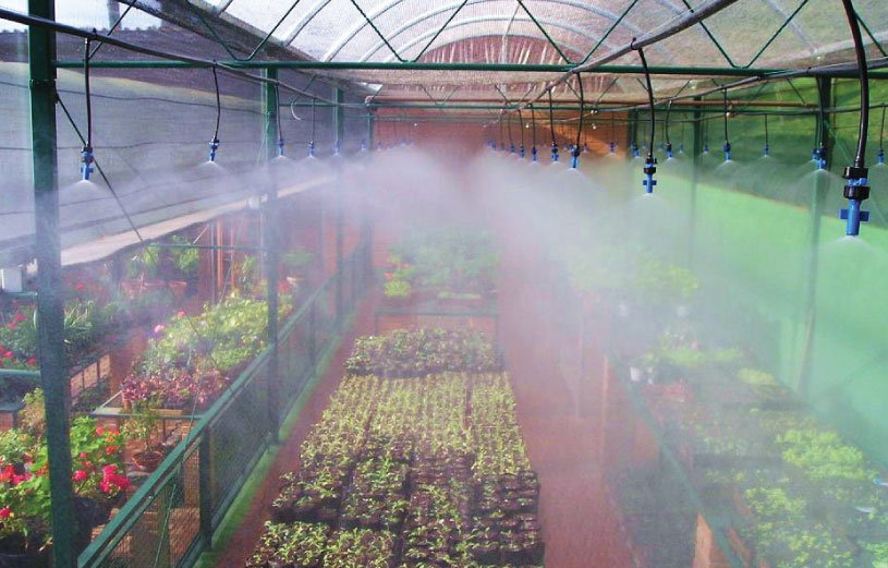 Lắp đặt máy phun sương Huyện Nhà Bè