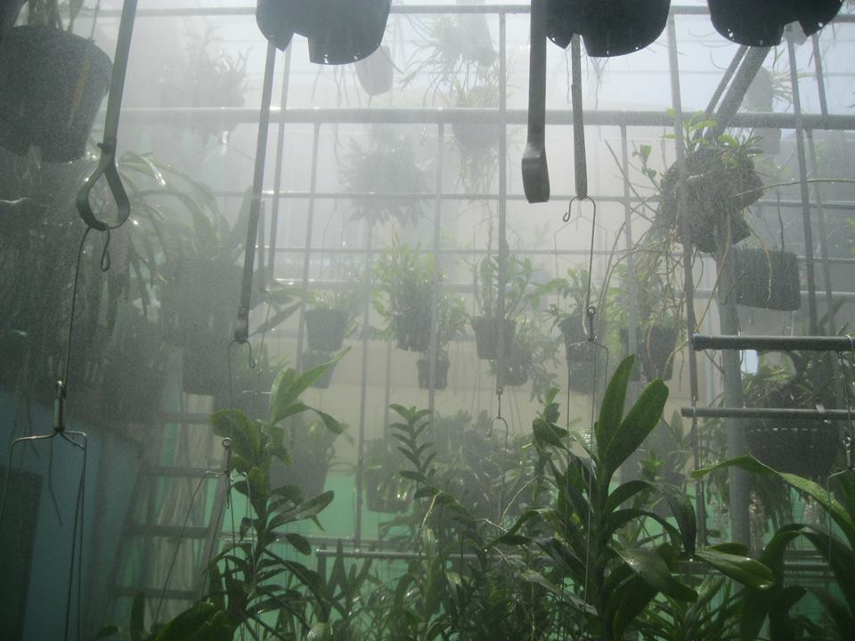 Lắp đặt máy phun sương quận 7