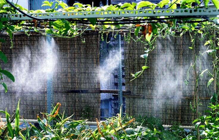 Máy bơm hệ thống phun sương Công nghệ tưới tiên tiến cho cây trồng