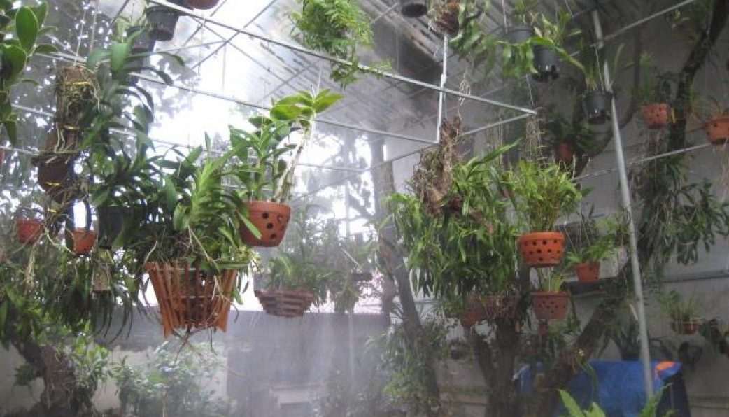 Thiết bị phun sương tưới cây Tất cả những điều bạn cần biết