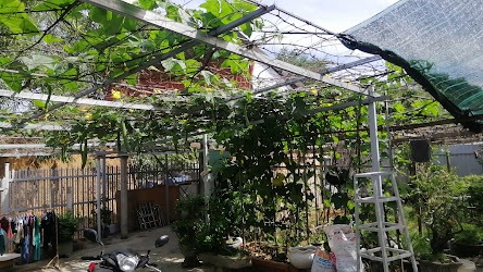 Thiết bị phun sương tưới cây Tất cả những điều bạn cần biết