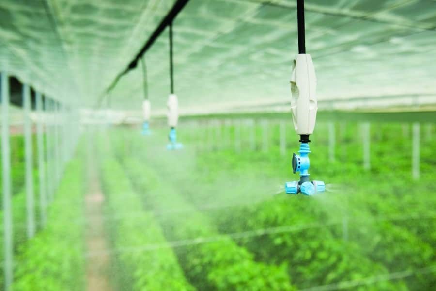 Máy phun sương cho vườn lan Giải pháp tưới nước hiệu quả