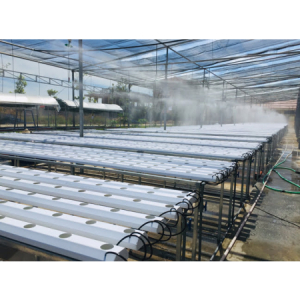 Bí quyết chọn máy phun sương giá rẻ