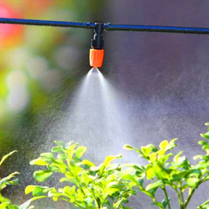 Máy phun sương cho vườn lan Giải pháp tưới nước hiệu quả