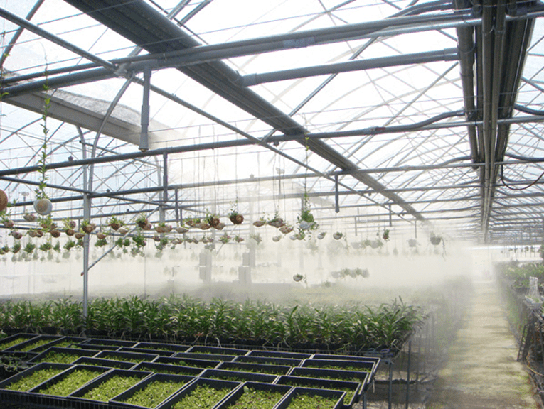 Máy phun sương trong nông nghiệp tưới tiêu