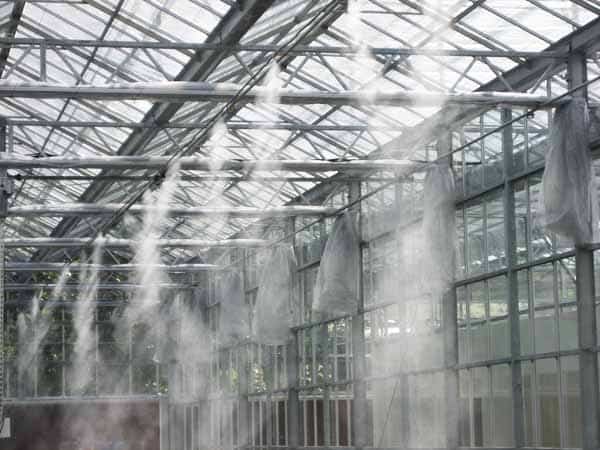 giải pháp lắp máy phun sương tưới tiêu trong nhà kính