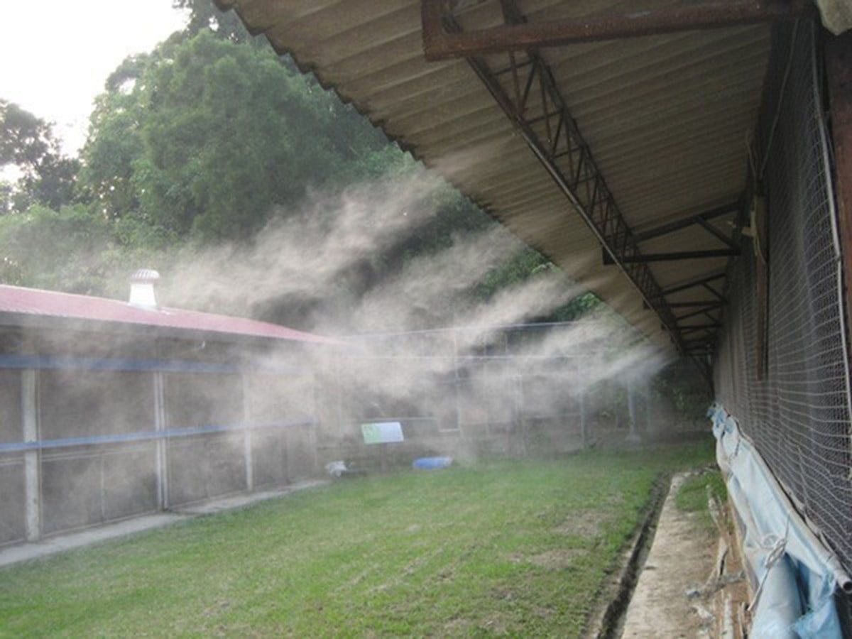 hệ thống phun sương làm mát trang trại