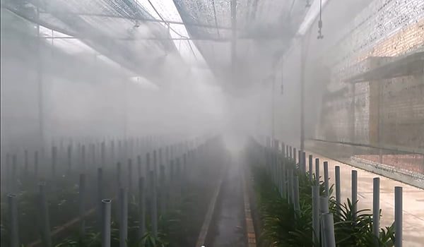 máy tạo độ ẩm cho vườn lan