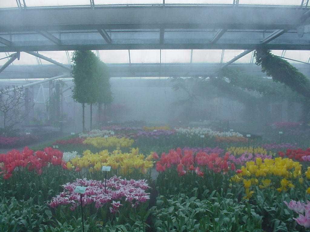 công nghệ tưới phun sương cho vườn hoa